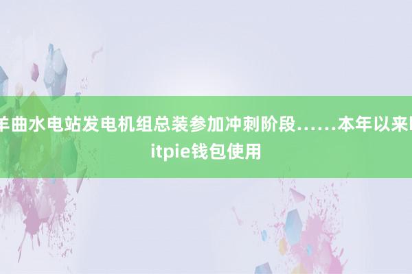 羊曲水电站发电机组总装参加冲刺阶段……本年以来bitpie钱包使用