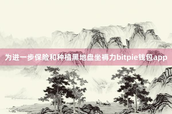 为进一步保险和种植黑地盘坐褥力bitpie钱包app