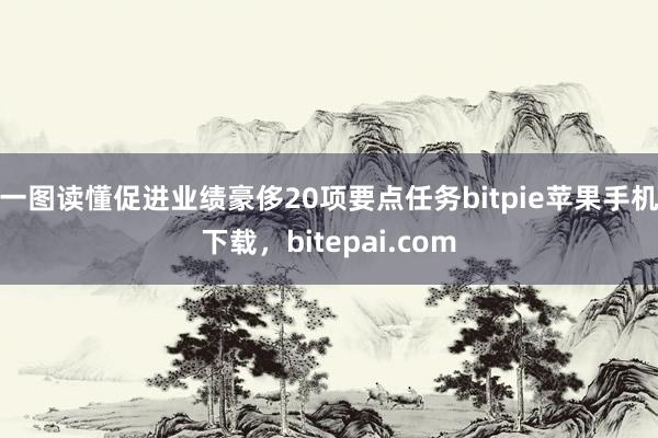 一图读懂促进业绩豪侈20项要点任务bitpie苹果手机下载，bitepai.com