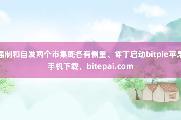 强制和自发两个市集既各有侧重、零丁启动bitpie苹果手机下载，bitepai.com