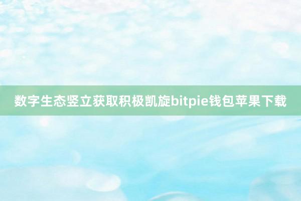 数字生态竖立获取积极凯旋bitpie钱包苹果下载