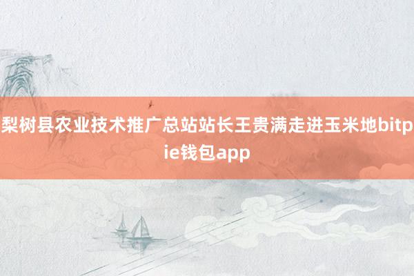 梨树县农业技术推广总站站长王贵满走进玉米地bitpie钱包app