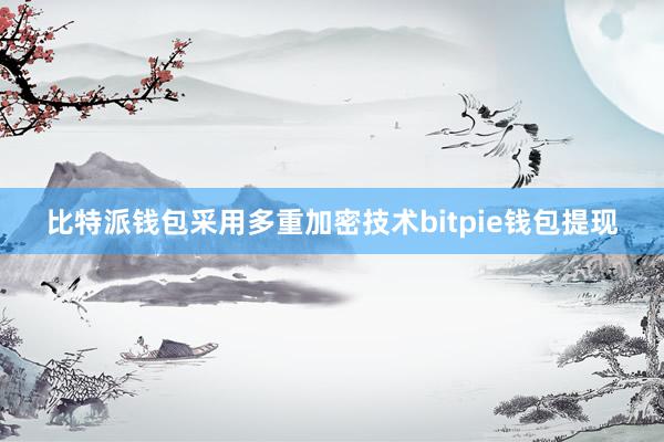 比特派钱包采用多重加密技术bitpie钱包提现