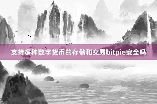 支持多种数字货币的存储和交易bitpie安全吗