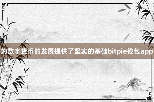 为数字货币的发展提供了坚实的基础bitpie钱包app