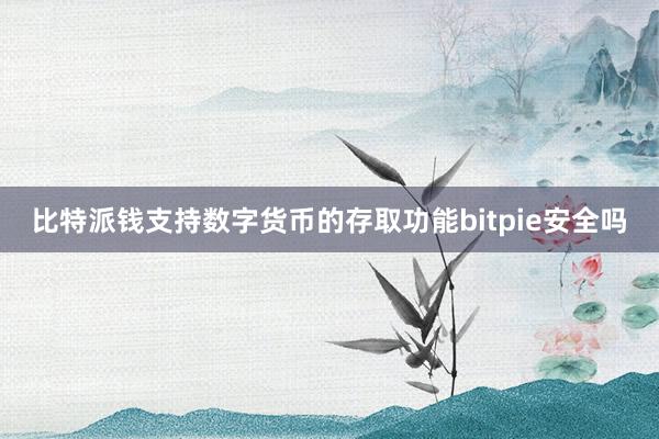 比特派钱支持数字货币的存取功能bitpie安全吗