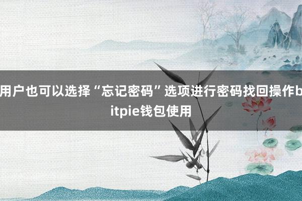 用户也可以选择“忘记密码”选项进行密码找回操作bitpie钱包使用