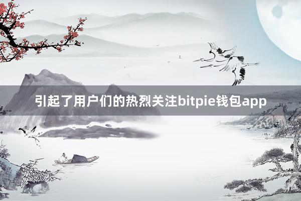 引起了用户们的热烈关注bitpie钱包app