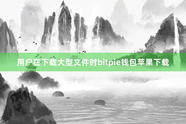 用户在下载大型文件时bitpie钱包苹果下载