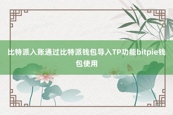 比特派入账通过比特派钱包导入TP功能bitpie钱包使用