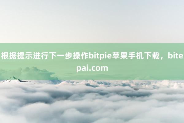 根据提示进行下一步操作bitpie苹果手机下载，bitepai.com