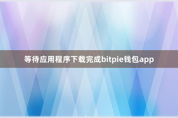 等待应用程序下载完成bitpie钱包app