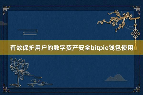 有效保护用户的数字资产安全bitpie钱包使用