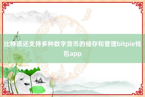 比特派还支持多种数字货币的储存和管理bitpie钱包app