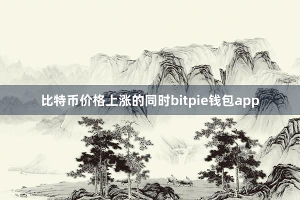 比特币价格上涨的同时bitpie钱包app