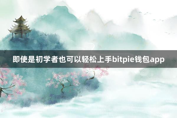 即使是初学者也可以轻松上手bitpie钱包app