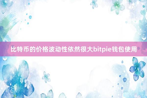 比特币的价格波动性依然很大bitpie钱包使用