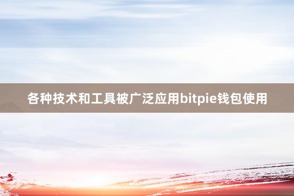 各种技术和工具被广泛应用bitpie钱包使用