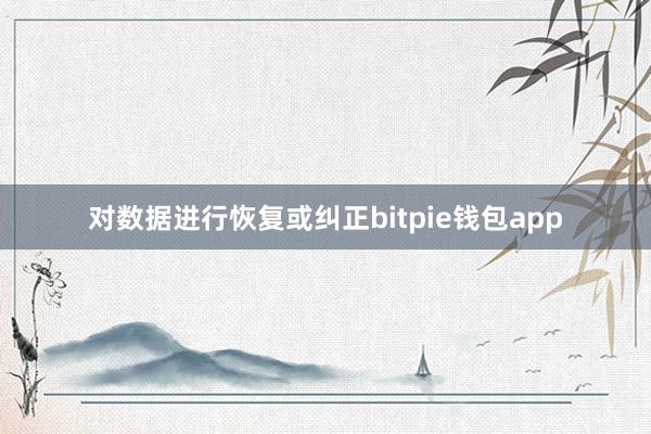 对数据进行恢复或纠正bitpie钱包app