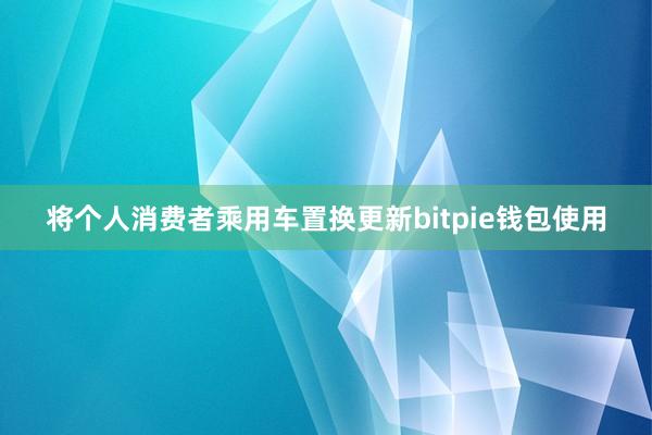 将个人消费者乘用车置换更新bitpie钱包使用