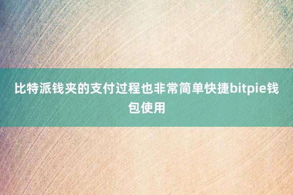 比特派钱夹的支付过程也非常简单快捷bitpie钱包使用