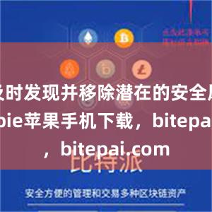 及时发现并移除潜在的安全风险bitpie苹果手机下载，bitepai.com