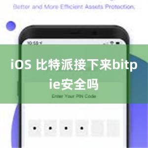 iOS 比特派接下来bitpie安全吗