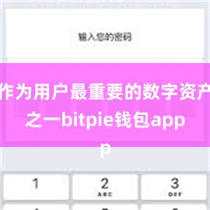 作为用户最重要的数字资产之一bitpie钱包app