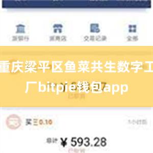 重庆梁平区鱼菜共生数字工厂bitpie钱包app
