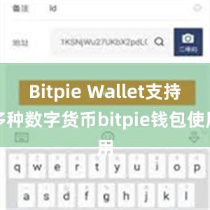 Bitpie Wallet支持多种数字货币bitpie钱包使用