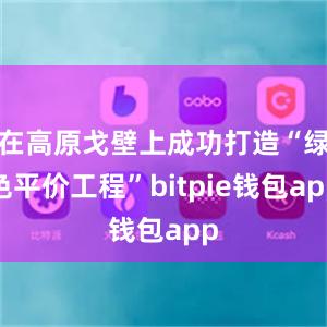 在高原戈壁上成功打造“绿色平价工程”bitpie钱包app