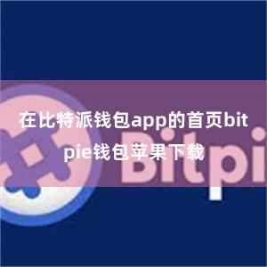 在比特派钱包app的首页bitpie钱包苹果下载