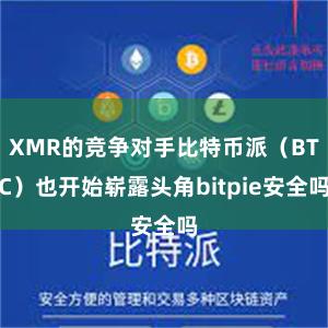 XMR的竞争对手比特币派（BTC）也开始崭露头角bitpie安全吗