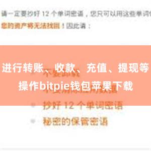 进行转账、收款、充值、提现等操作bitpie钱包苹果下载