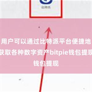 用户可以通过比特派平台便捷地获取各种数字资产bitpie钱包提现