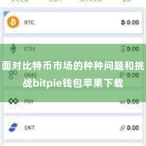 面对比特币市场的种种问题和挑战bitpie钱包苹果下载